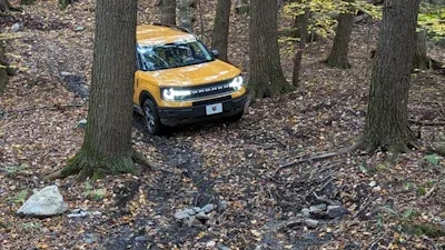 A bronco sport driving between some trees